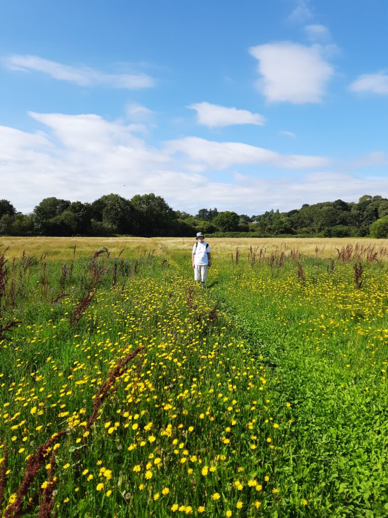Sandra is visible in the distance, walking through a field of yellow flowers